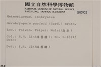 登錄號:B00005952藏品圖，第2張