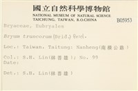 登錄號:B00005953藏品圖，第2張