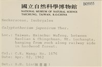 登錄號:B00005955藏品圖，第2張