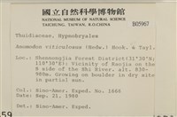 登錄號:B00005967藏品圖，第2張