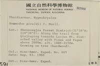 登錄號:B00005968藏品圖，第2張