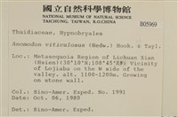 登錄號:B00005969藏品圖，第2張