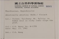 山羽蘚藏品圖，第2張