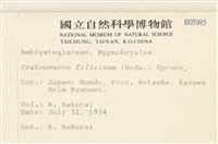 登錄號:B00005985藏品圖，第2張
