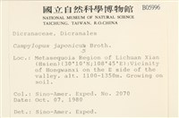 日本曲柄蘚藏品圖，第2張