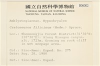 登錄號:B00006002藏品圖，第2張