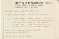 登錄號:B00006003藏品圖，第2張