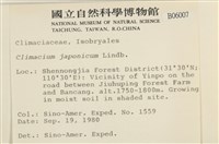 登錄號:B00006007藏品圖，第2張