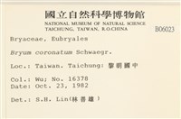 蕊形真蘚藏品圖，第2張