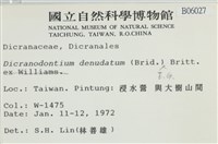 青毛苔藏品圖，第2張