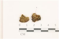 登錄號:B00006031藏品圖，第1張