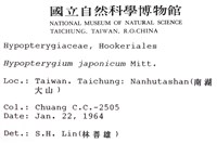 日本孔雀蘚藏品圖，第2張