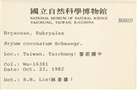 蕊形真蘚藏品圖，第2張