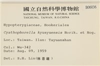 登錄號:B00006036藏品圖，第2張