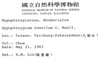 南亞孔雀蘚藏品圖，第2張