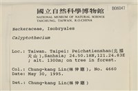 登錄號:B00006047藏品圖，第2張