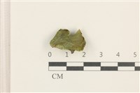 蛇苔藏品圖，第1張