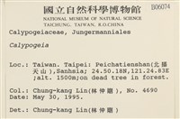 登錄號:B00006074藏品圖，第2張