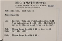 登錄號:B00006082藏品圖，第2張