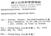 日本孔雀蘚藏品圖，第2張