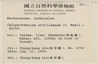 登錄號:B00006117藏品圖，第2張