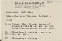 登錄號:B00006135藏品圖，第2張