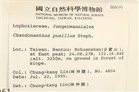 登錄號:B00006140藏品圖，第2張