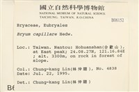 細葉真蘚藏品圖，第2張