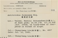 臺灣逆毛蘚藏品圖，第2張