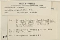 臺灣逆毛蘚藏品圖，第2張