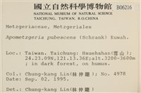 毛擬叉苔藏品圖，第2張