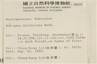 登錄號:B00006245藏品圖，第2張