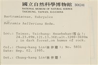 登錄號:B00006248藏品圖，第2張