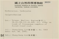 登錄號:B00006264藏品圖，第2張