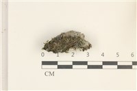 登錄號:B00006280藏品圖，第1張