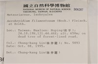 毛扭蘚藏品圖，第2張