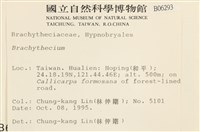 登錄號:B00006293藏品圖，第2張