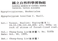 南亞孔雀蘚藏品圖，第2張