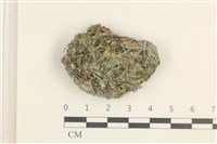 登錄號:B00006308藏品圖，第1張