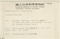 登錄號:B00006338藏品圖，第2張