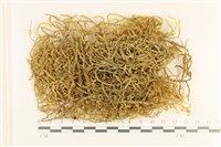 登錄號:B00006338藏品圖，第1張