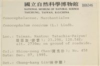 蛇苔藏品圖，第2張