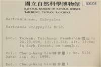 直葉珠蘚藏品圖，第2張