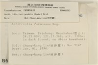 臺灣逆毛蘚藏品圖，第2張