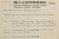 毛擬叉苔藏品圖，第2張