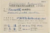 花斑煙桿蘚藏品圖，第2張