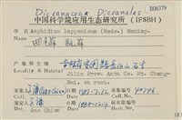 瓶蘚藏品圖，第2張