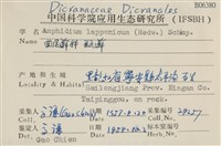 瓶蘚藏品圖，第2張