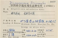 東亞昂氏蘚,東方昂氏蘚藏品圖，第2張