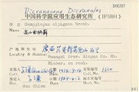 高山曲柄蘚藏品圖，第2張